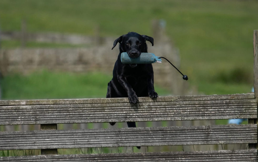 Shoot Prep Training Day