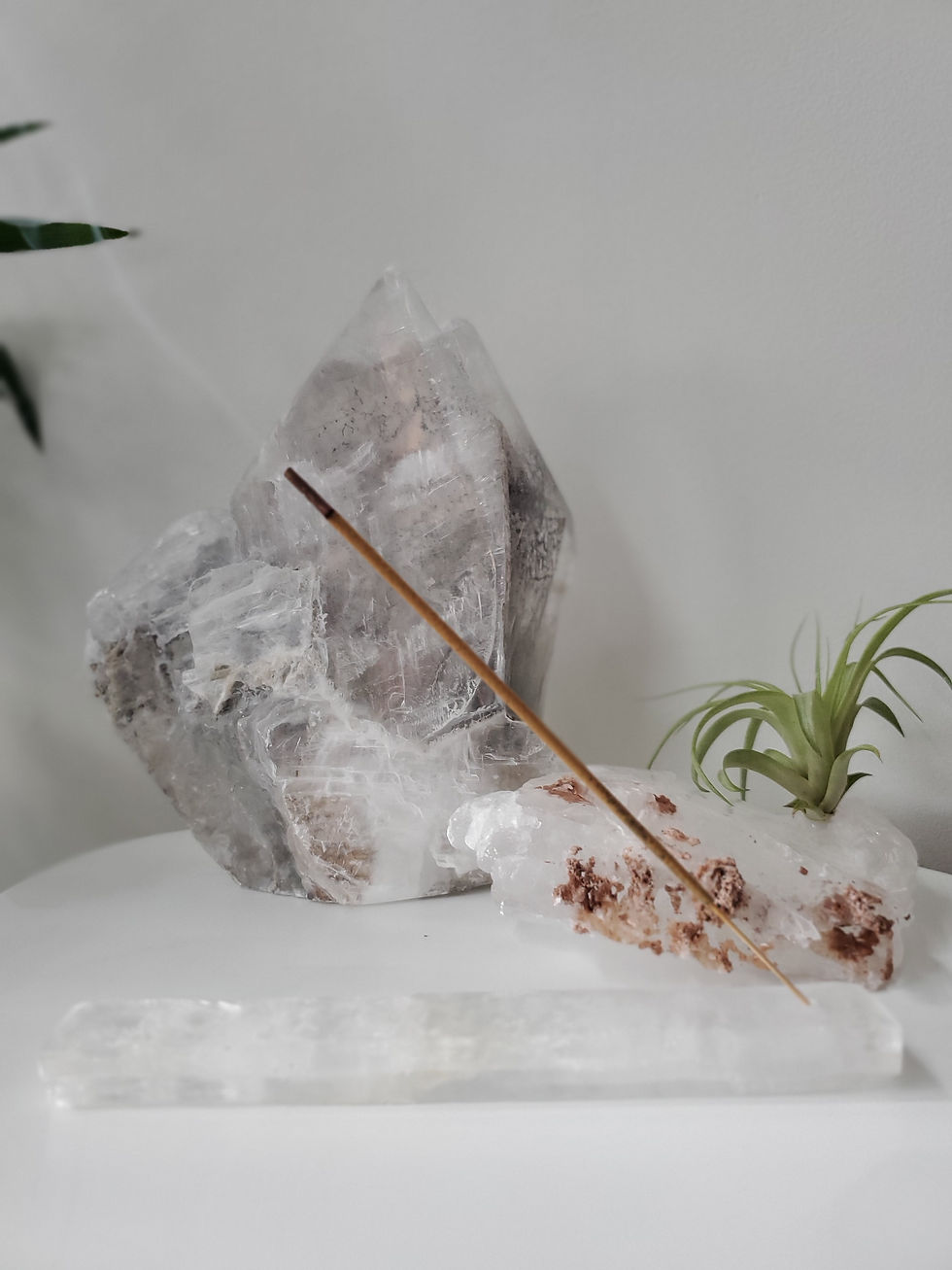 Thumbnail: BLACK NAG CHAMPA