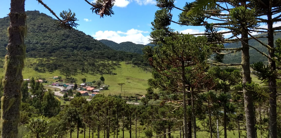 O SITIO