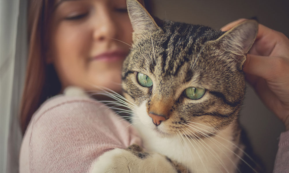 So You Want To Be A Vet Tech 