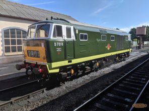 Class 35 "Hymek" D7018.