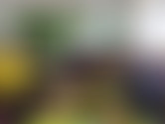 Засідання професійної спільноти вчителів початкових класів