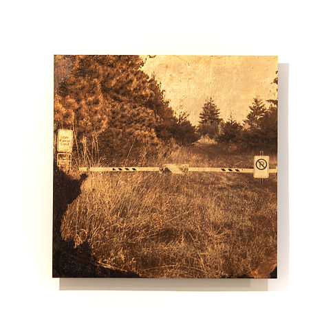 A photographic image of a blocked, grassy entrance to the Sand Dunes State Forrest in Minnesota. The image is placed on top of a sheet of gilded metal that is starting to rust.