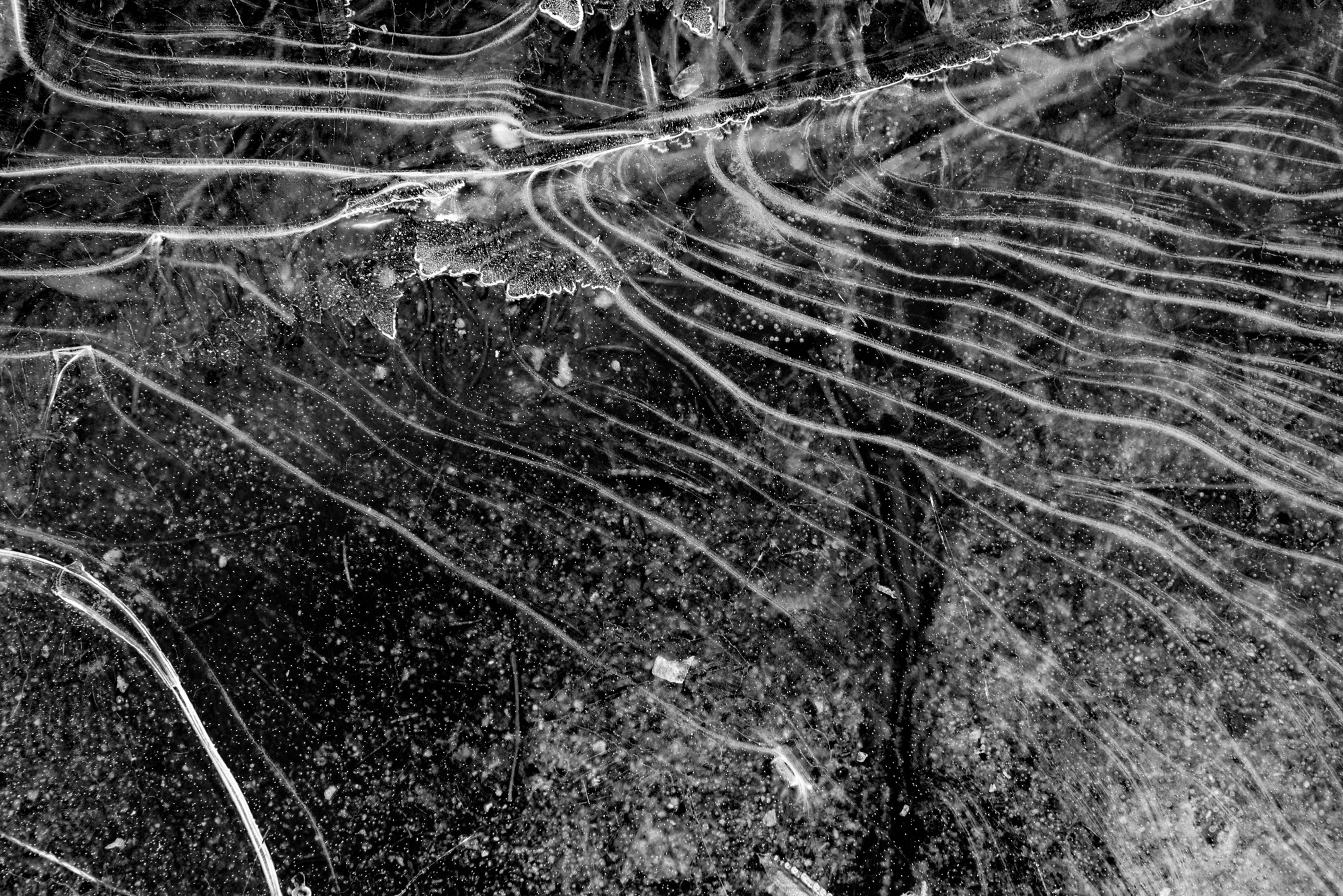 April 18 Series 3967