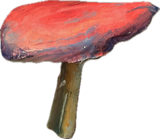 mushroom_D.png