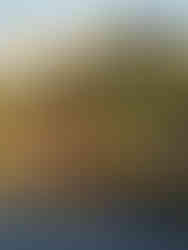 Vista dal Nan Lian Garden su un lago con un tempio