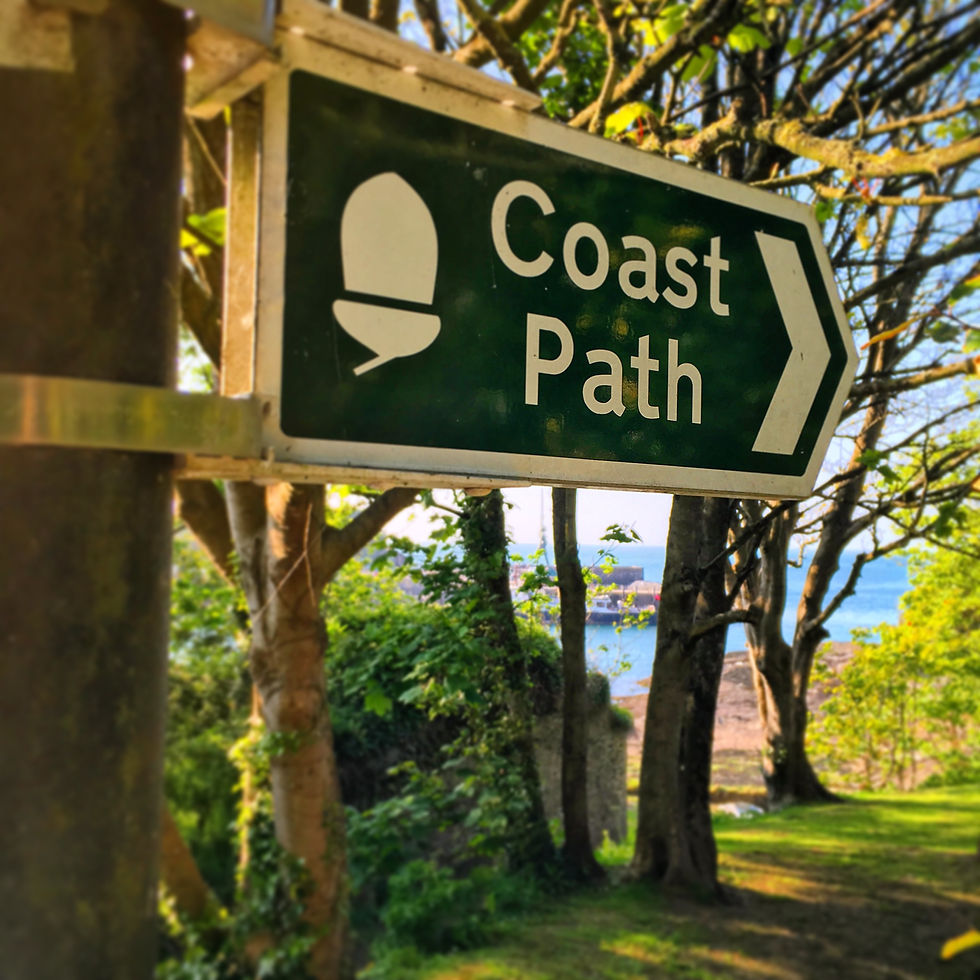 An Ilfracombe Walk