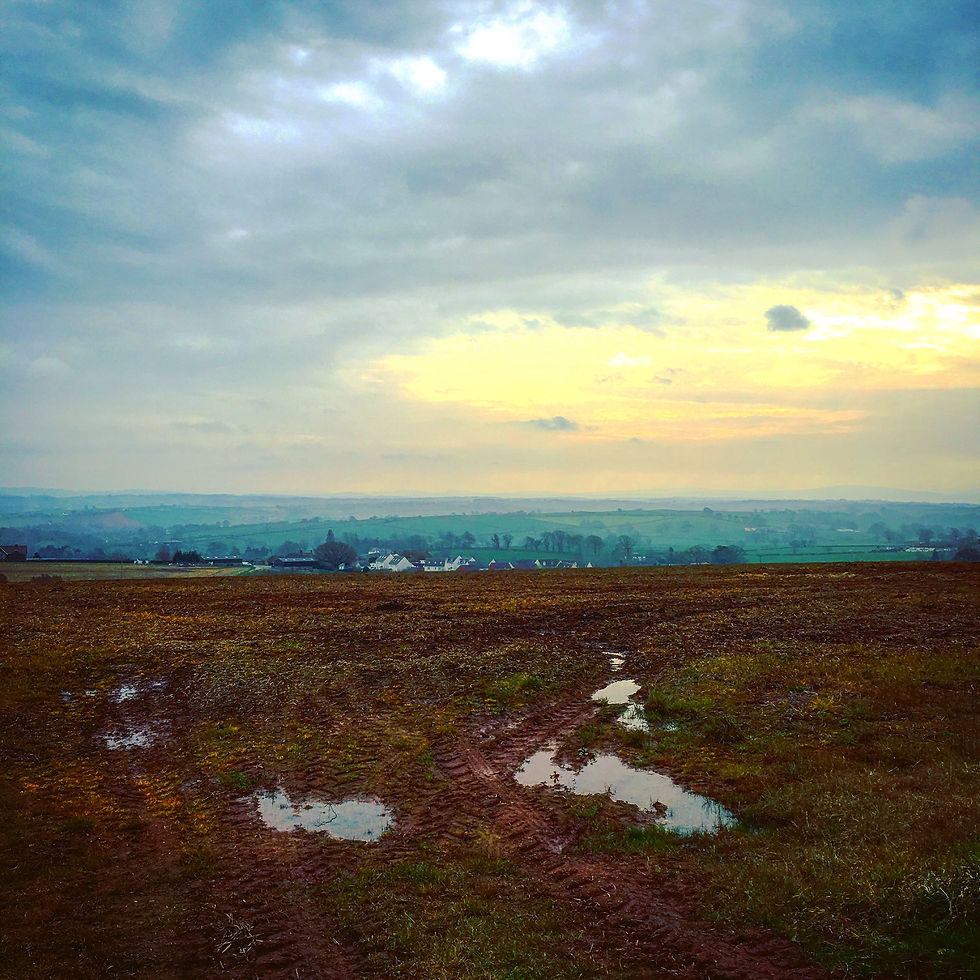 Views over Copplestone