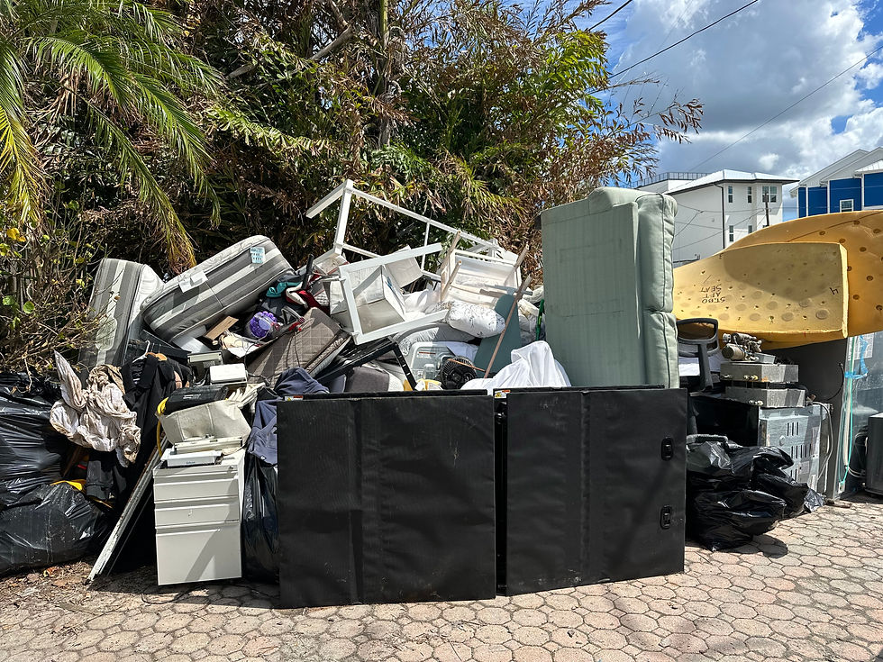 The first pile of trash waiting for pickup in front of my dad's house - once this was taken we filled the driveway several more times.