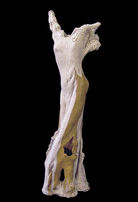 2013 The Lost Tree Lady Hunting Island.jpg