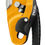 Miniatura: Asegurador/Descensor RIG Petzl