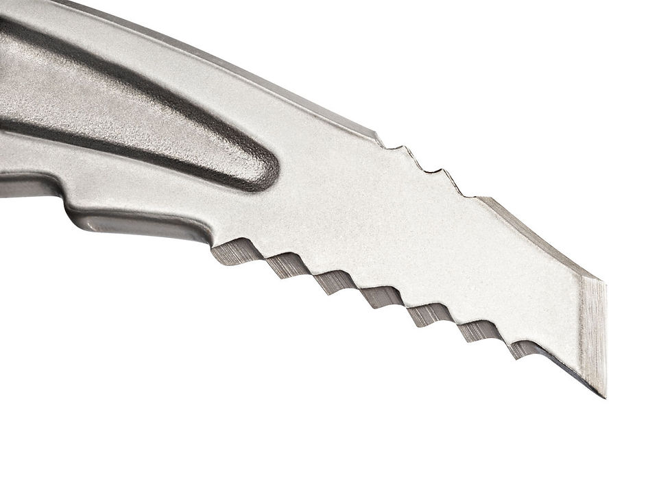 Miniatura: Piolet  SUMMIT® EVO Petzl