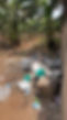 IMG_5672.jpeg