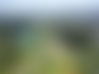 Estudo de Mercado Bwild | Studios Airbnb Moema (SP)