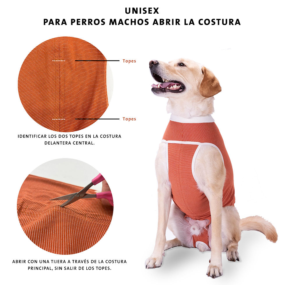 Miniatura: BODY COPPER PROTECCIÓN