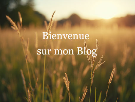 Bienvenue sur mon blog!