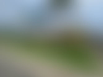 Navigating the Complexities of Long Beach Property Management