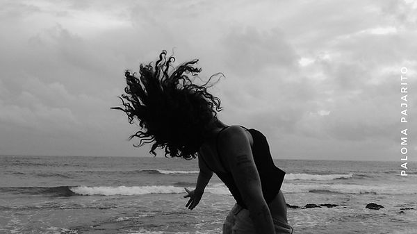 IMG_20210110_221618_020-01 - Paloma Pajarito.jpeg