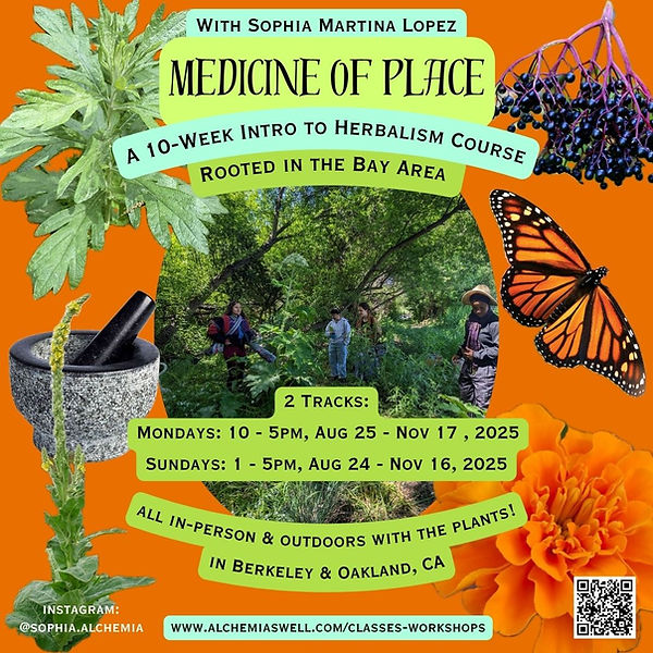 Medicine of Place Fall 2025.jpg
