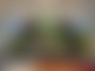 家族葬『花プラン』(二日葬)