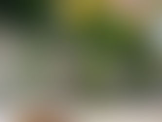 ペットも大切な家族