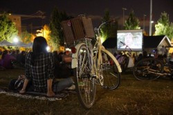 bike-night-250x166