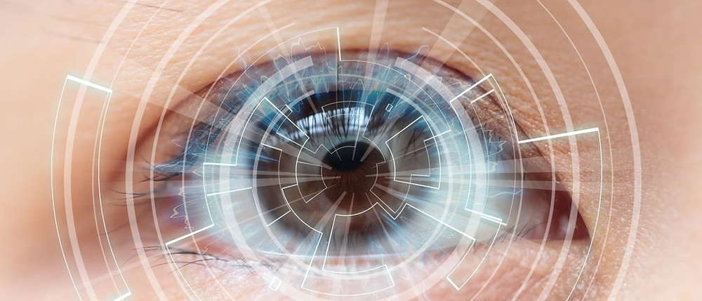 contacts