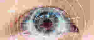 contacts