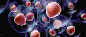 insulin