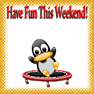 weekend-penguin