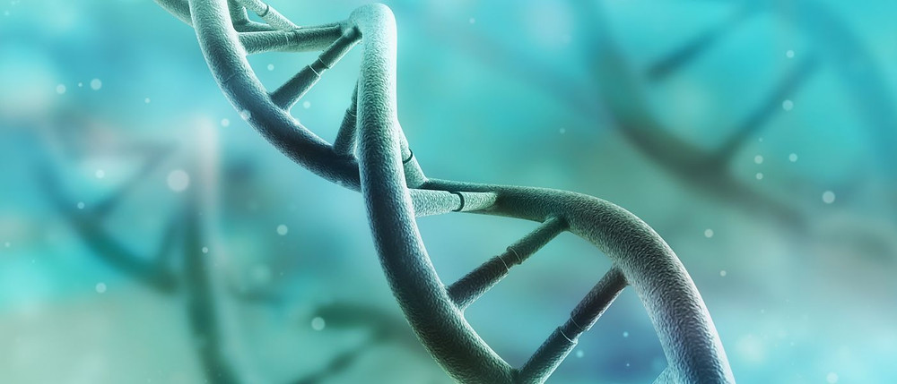 gene