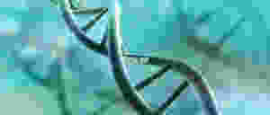 gene