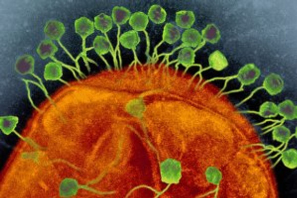 Scientists-Develop-a-New-System-for-Human-Genome-Editing