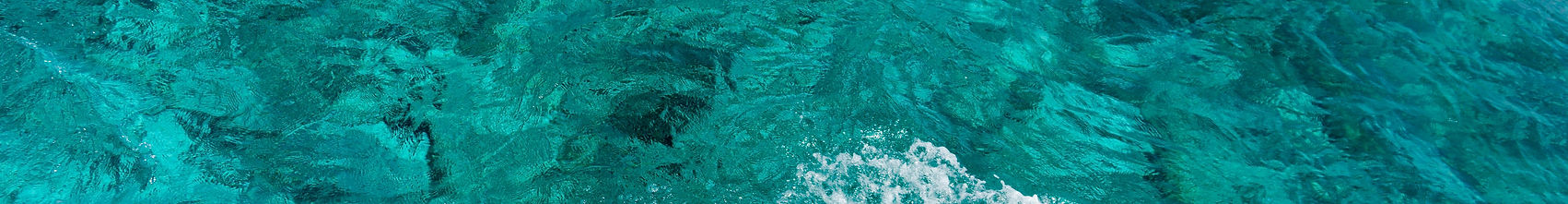 cover article sijour.jpg