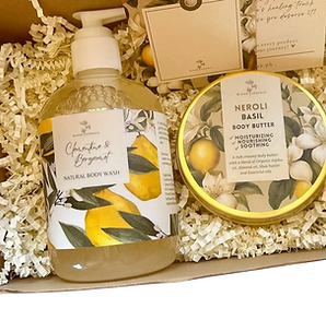 Photoroom_20250523_042918 (1)_edited.png