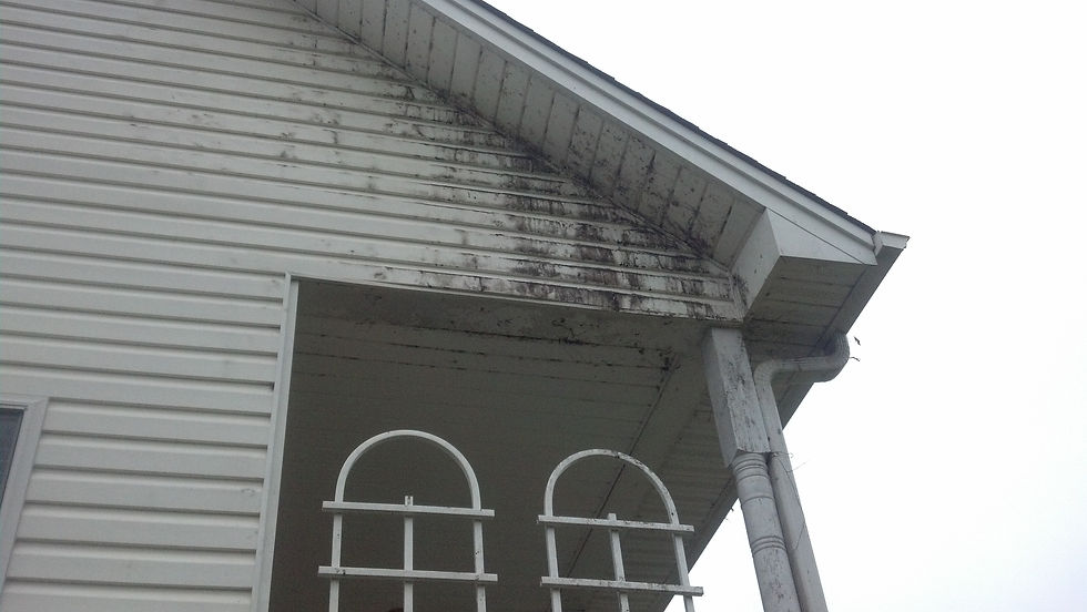 greenville sc brick cleaning