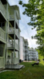 top pressure washing service clemson
