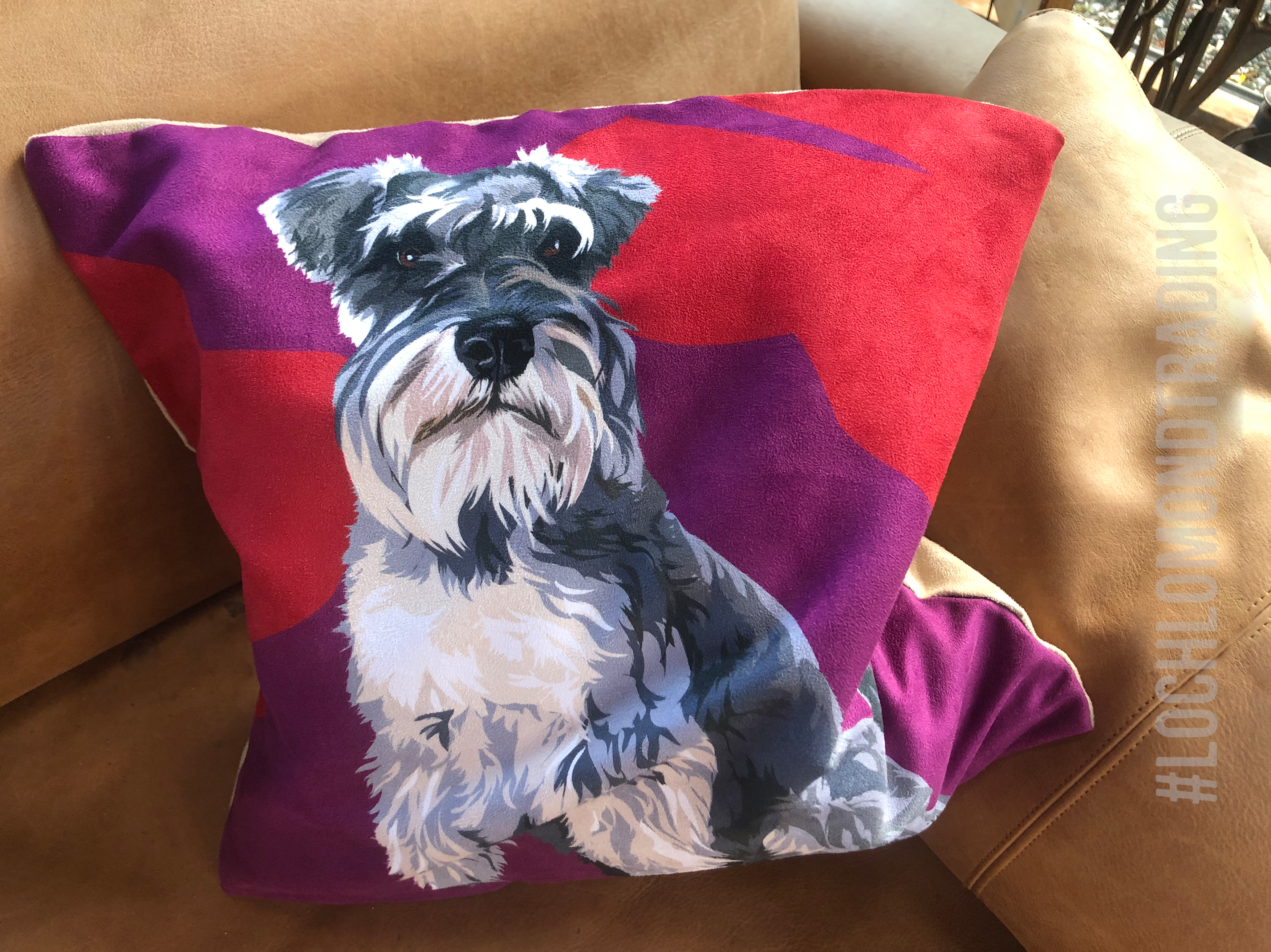 Schnauzer Cushion