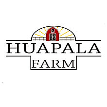 huapala.jpeg