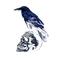 blue-black-raven-skull