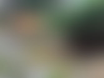 Le nouveau banc est arrivé !