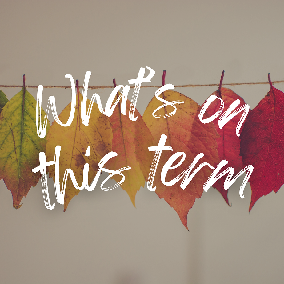 What's on this term - autumn leaves background