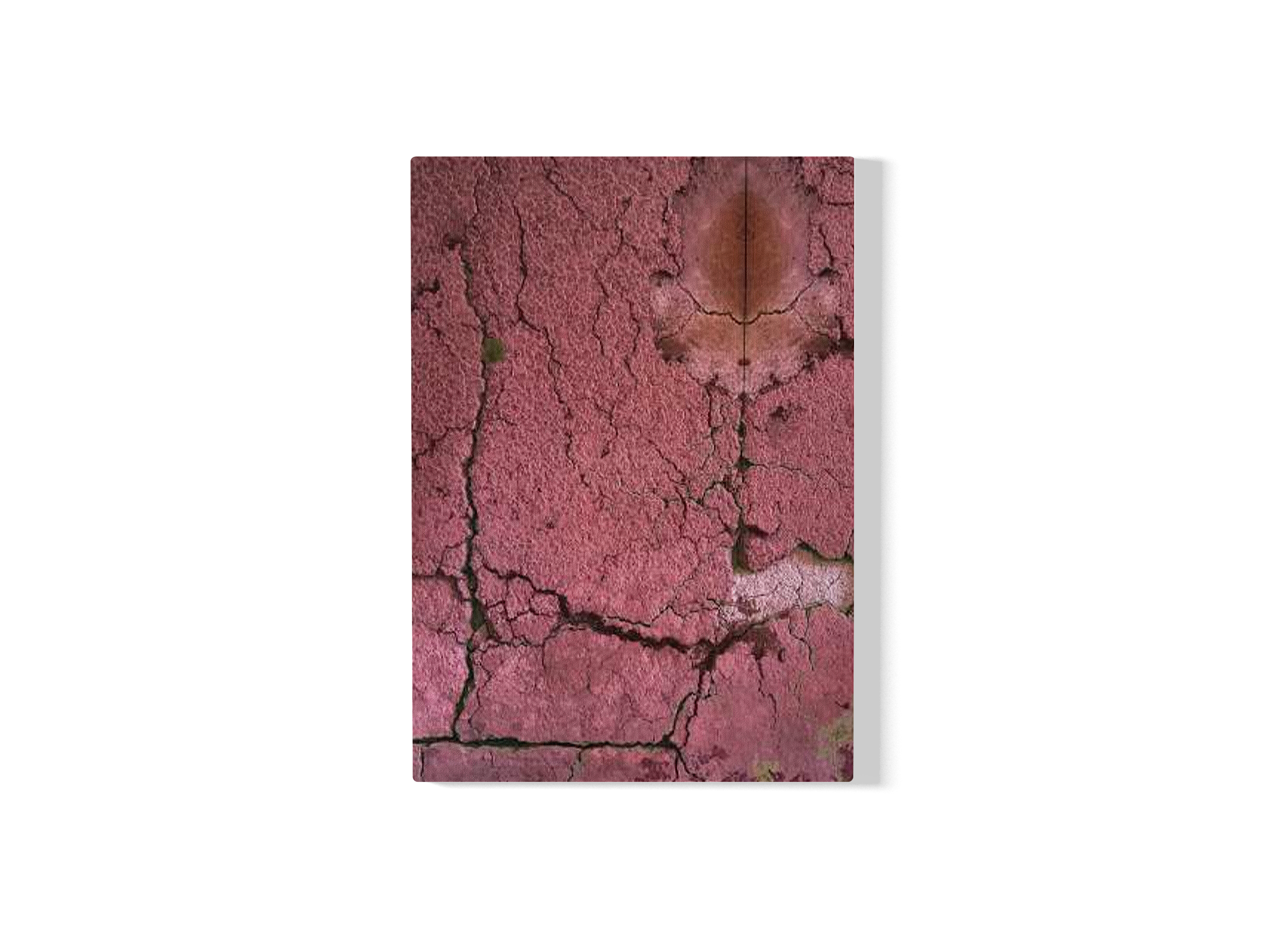 Bulbo - Série Segredos do Chão - 2019 x 2023 / 195cm x 142cm