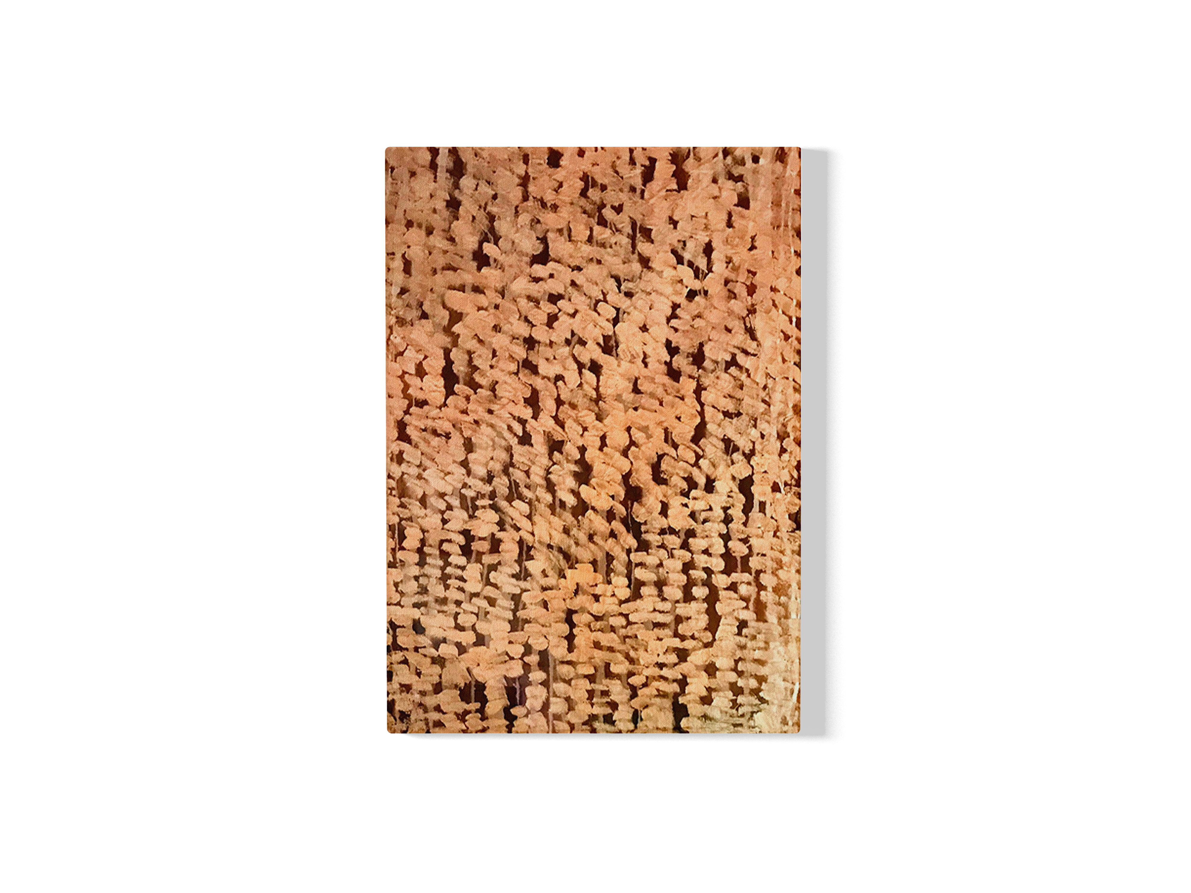 Série Memórias da Terra - 2000