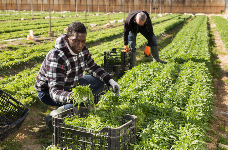 Farming