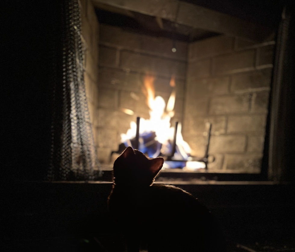 Catfire.jpg