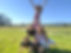 IMG_20190425_170316.jpg