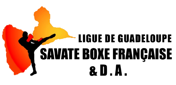 LIGUE_LOGO_2025-removebg-preview.png