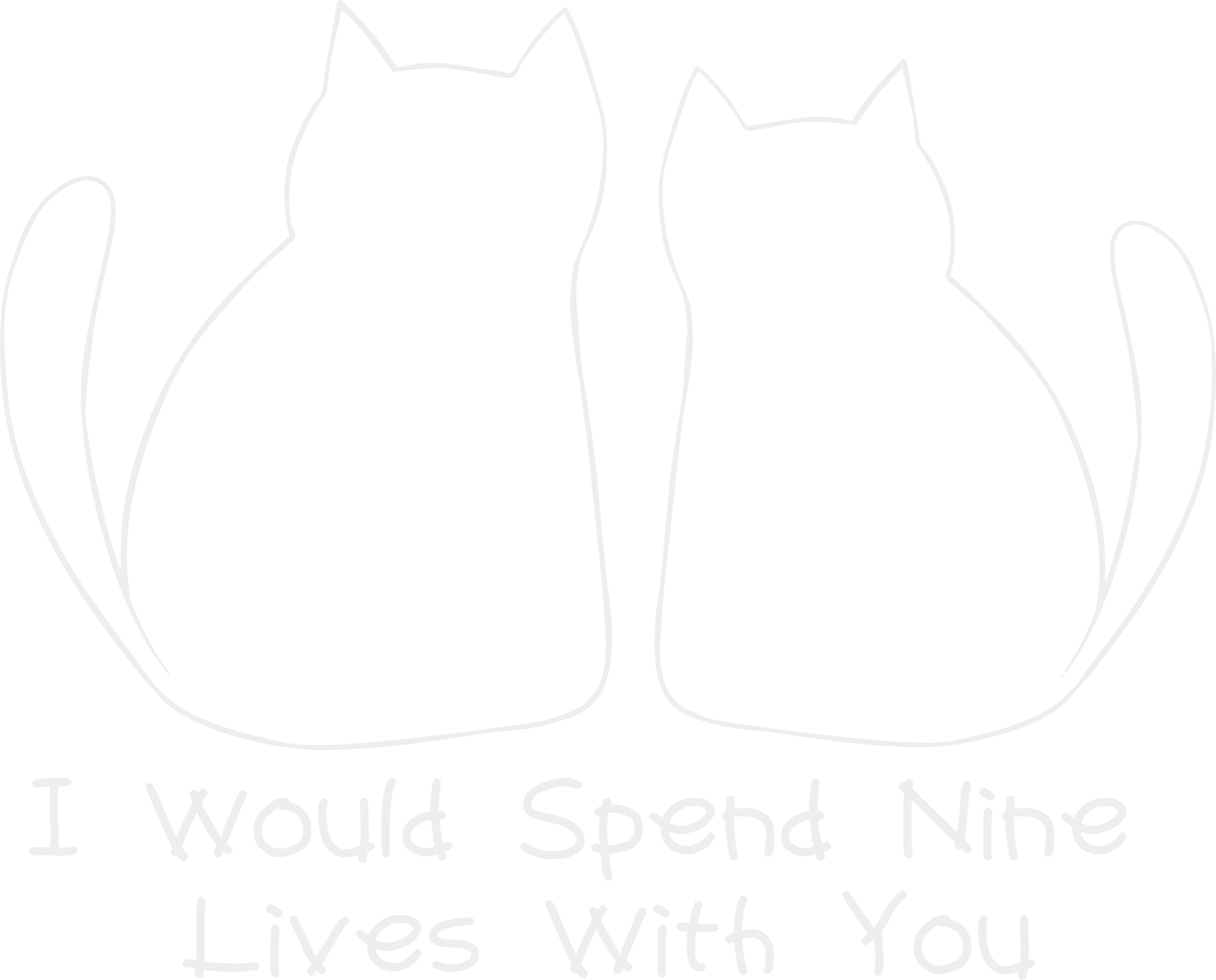 I Would Spend Nine Lives with You