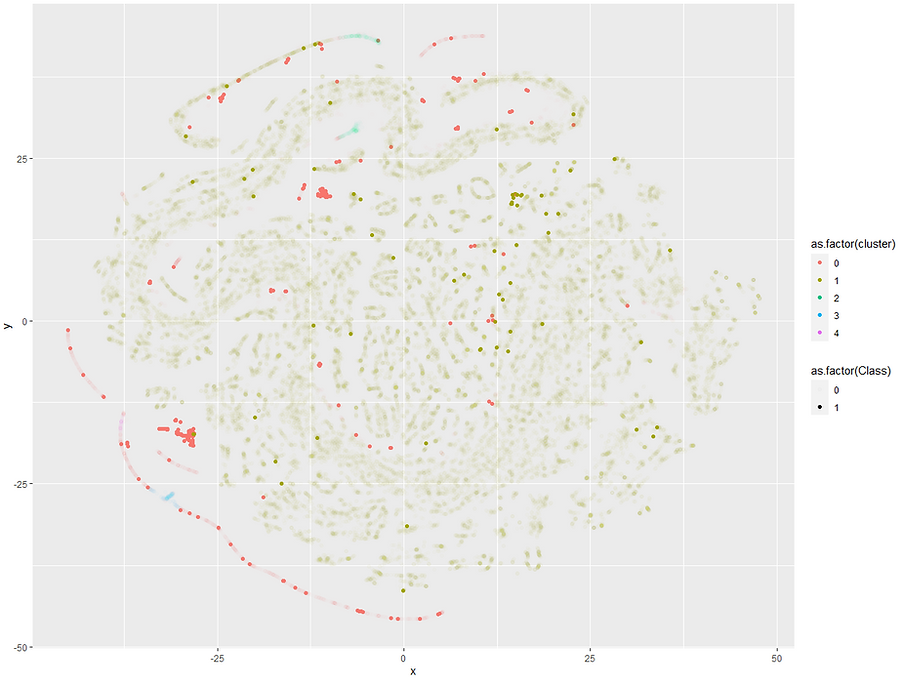 R tsne fraud in bold.PNG